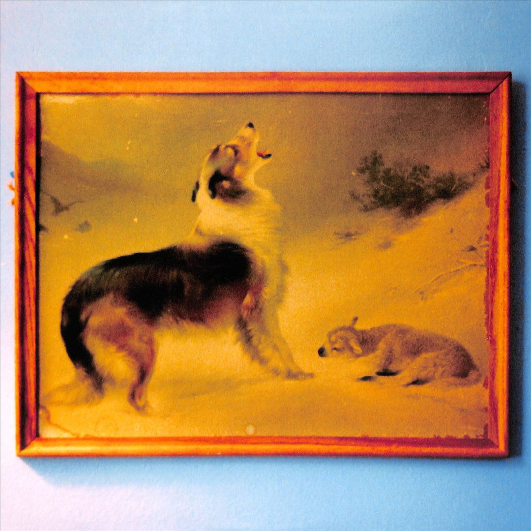 Rescue [Anniversary Edition]  cover art