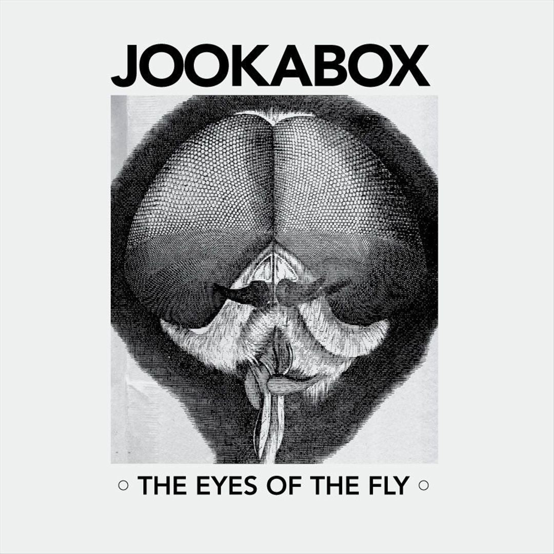 The Eyes of the Fly cover art