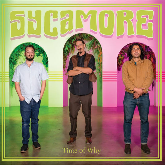 Time of Why cover art
