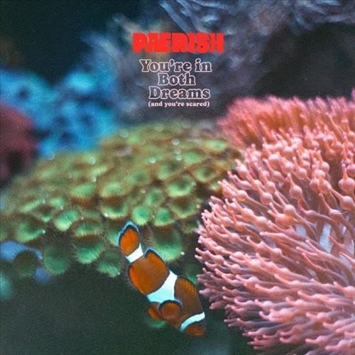 You're in Both Dreams (and You're Scared) cover art