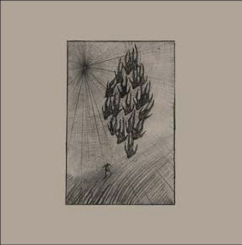 Locusts cover art