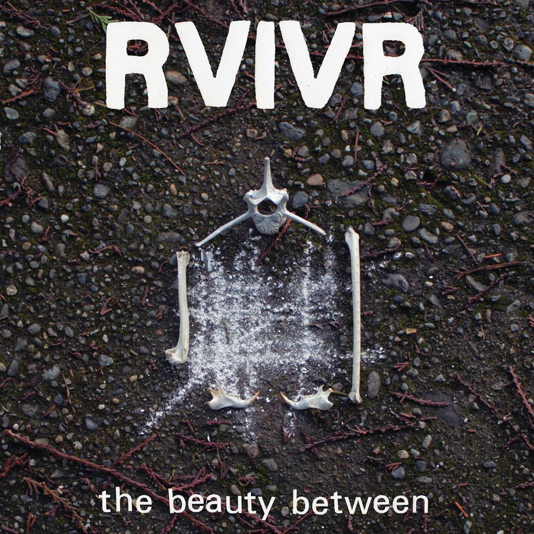 The Beauty Between [Black/Clear Vinyl] cover art