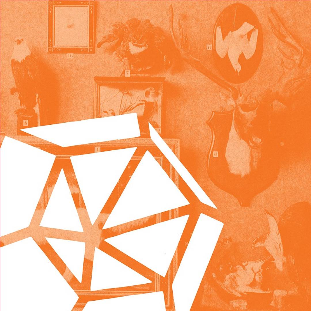 Segni cover art
