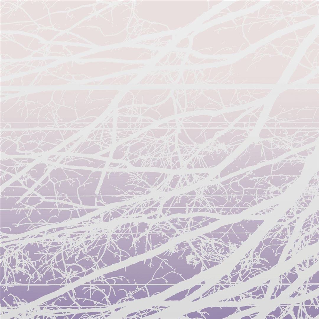 Metal Aether/Resonant Field cover art