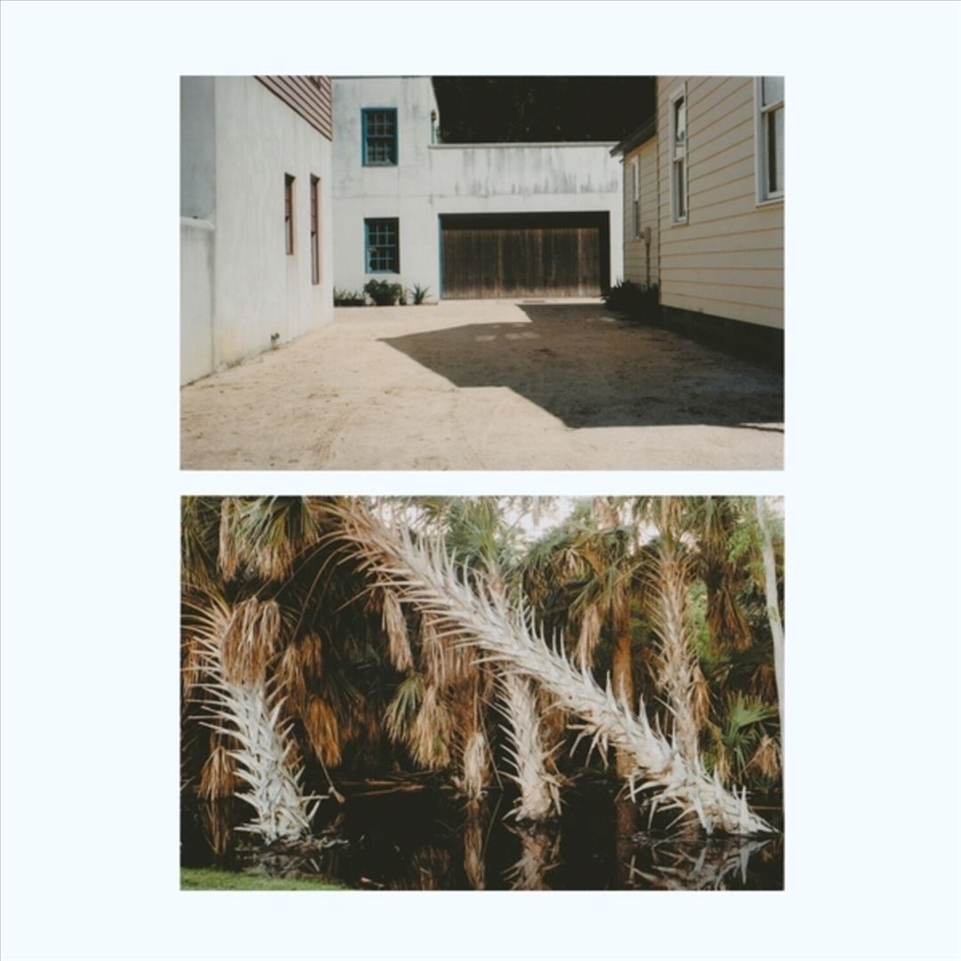 Vestige cover art