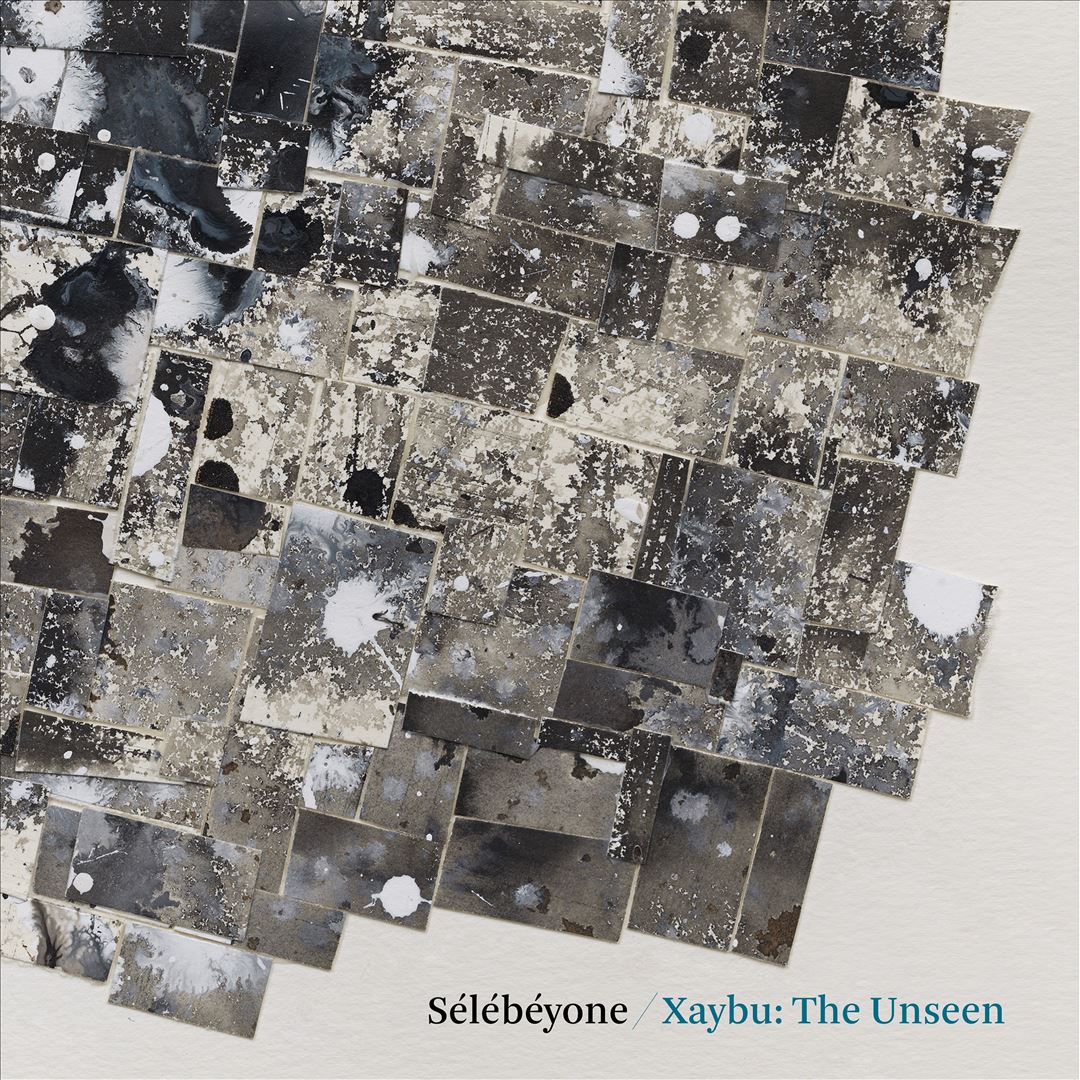 Xaybu: The Unseen cover art