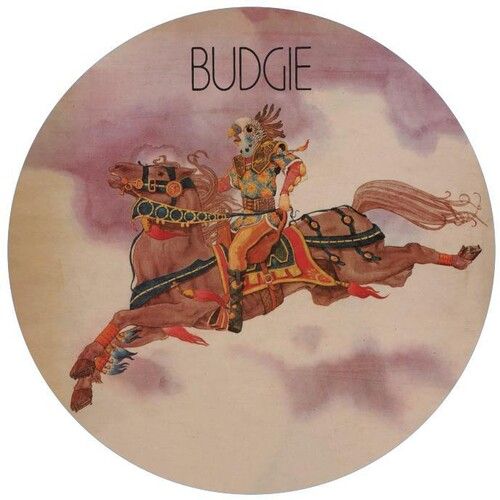Budgie cover art