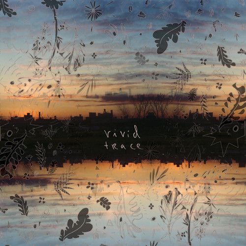 Vivid Trace cover art