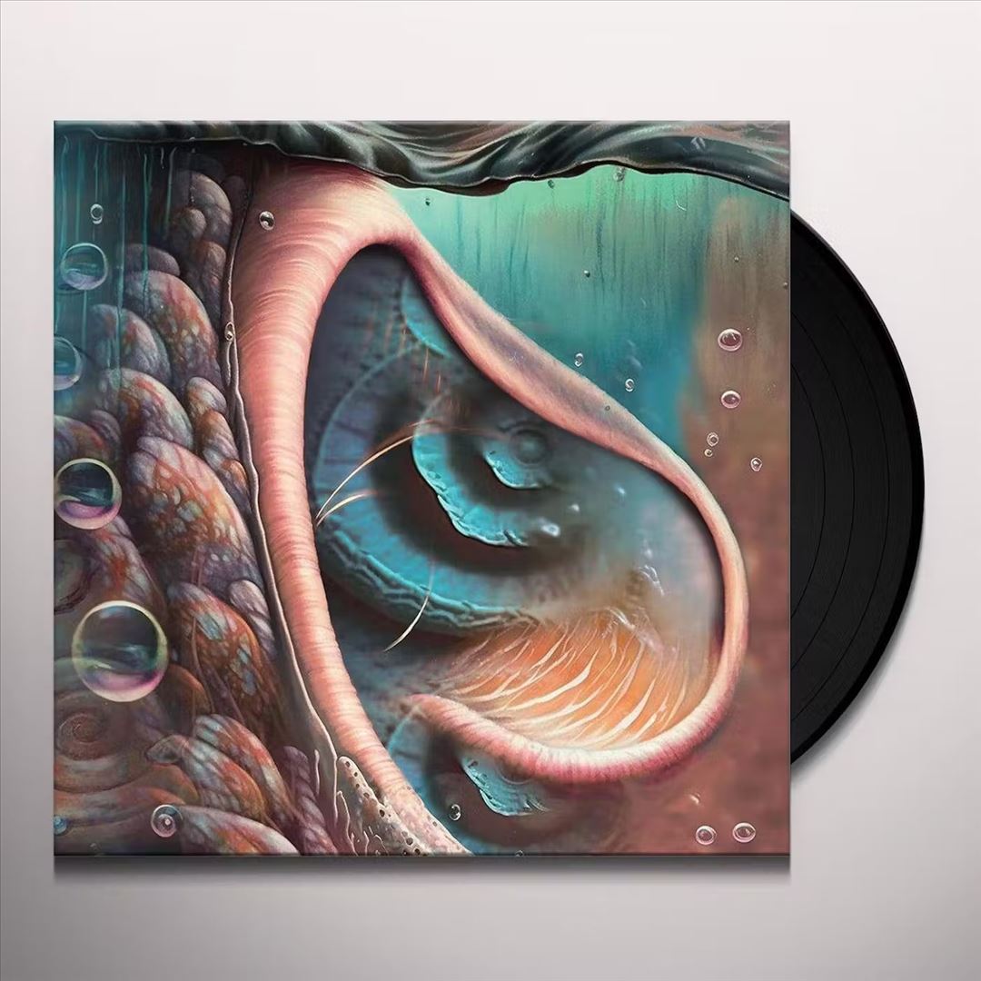 Meddle Reimgained: A Tribute to Pink Floyd cover art