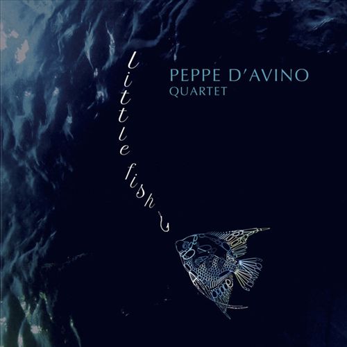 Little Fish cover art