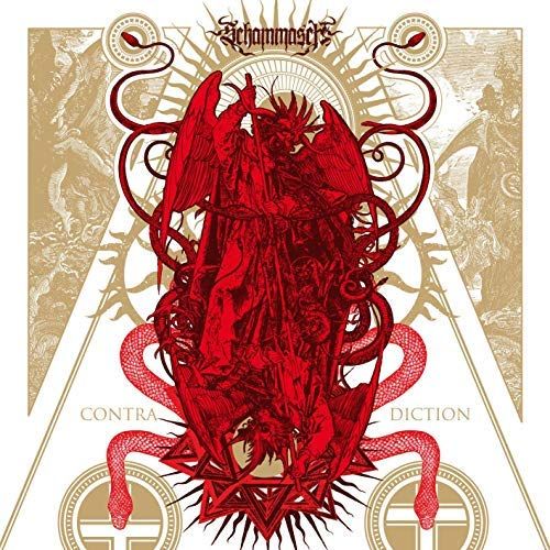 Contradiction [Silver & Gold Vinyl] cover art