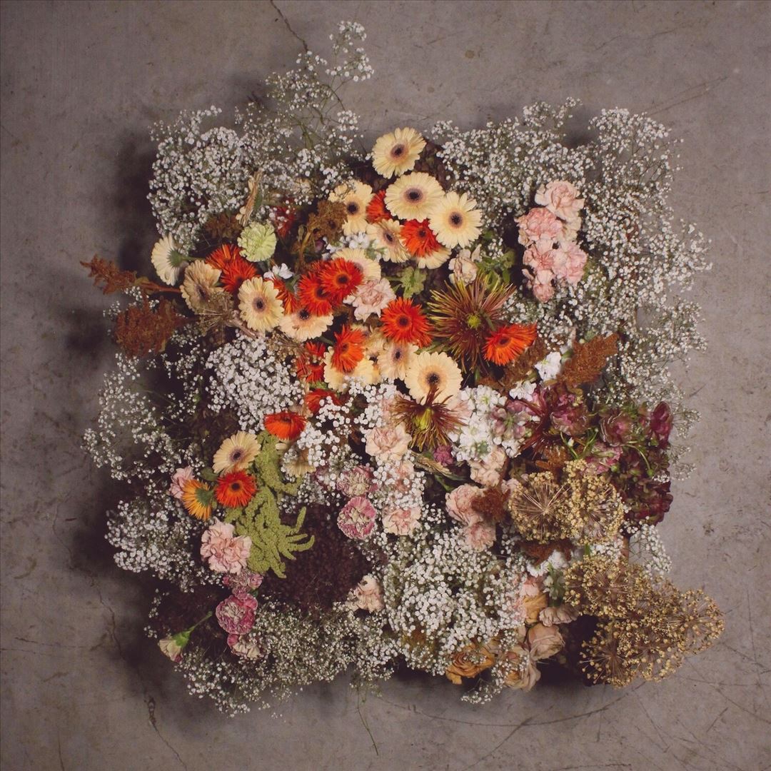 IV cover art