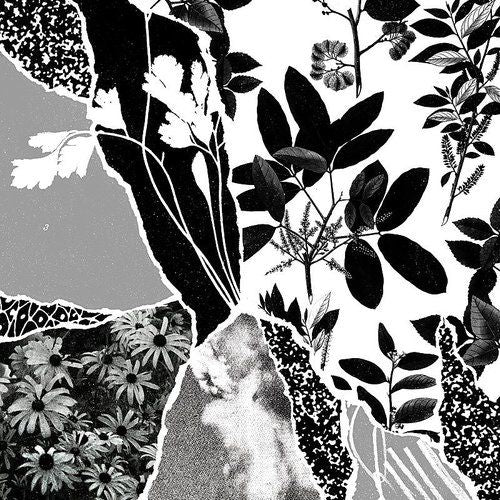 Mon Herbier du Monde Entier cover art