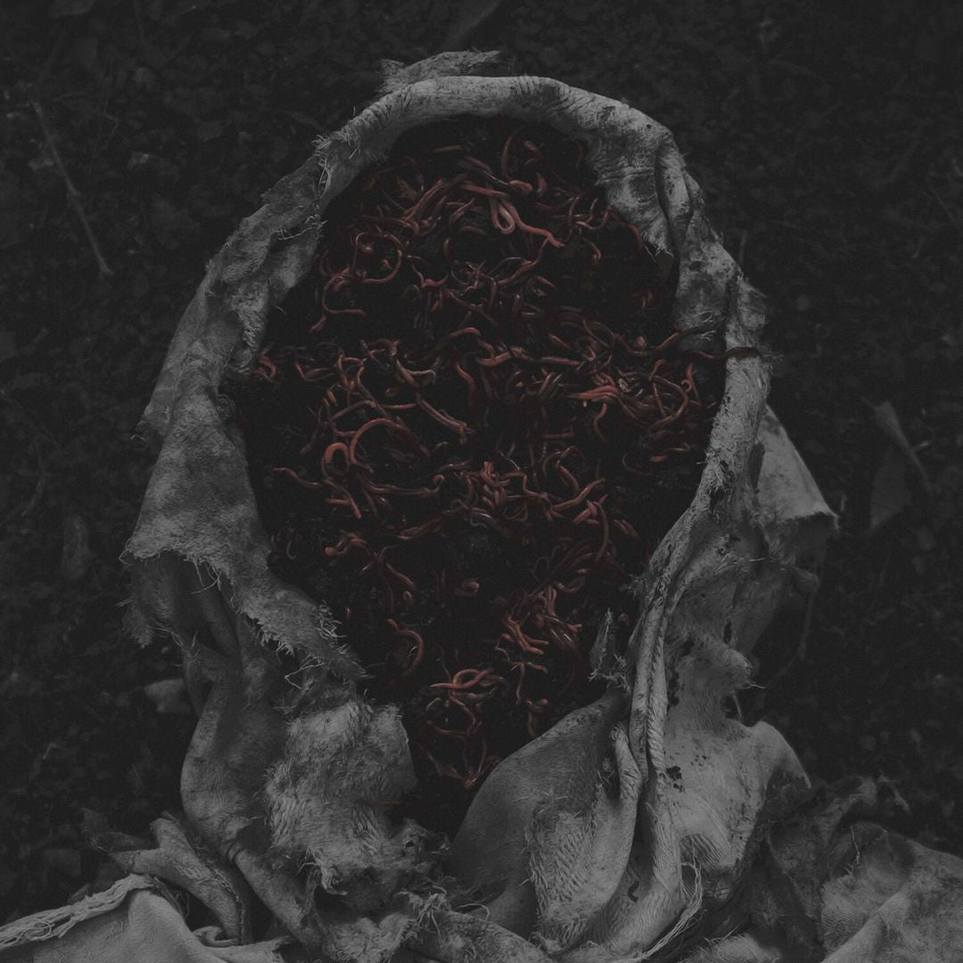 Stillamentum cover art