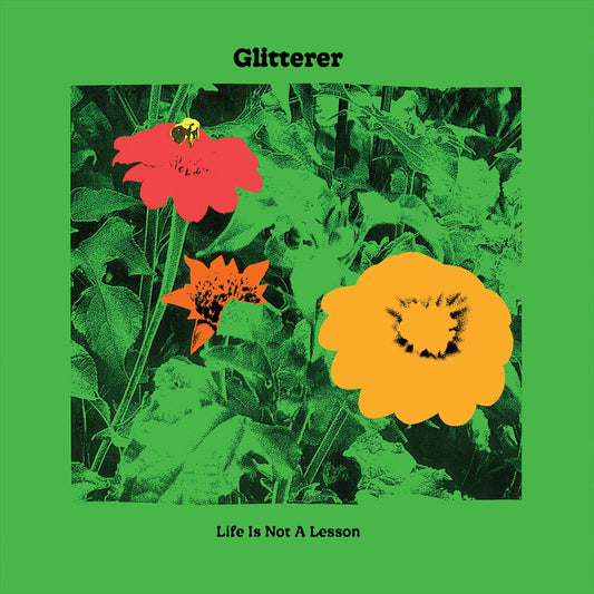 Life Is Not a Lesson cover art
