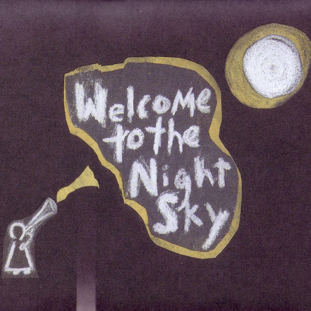 Welcome to the Night Sky cover art