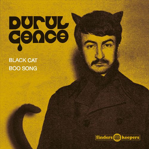 Black Cat cover art