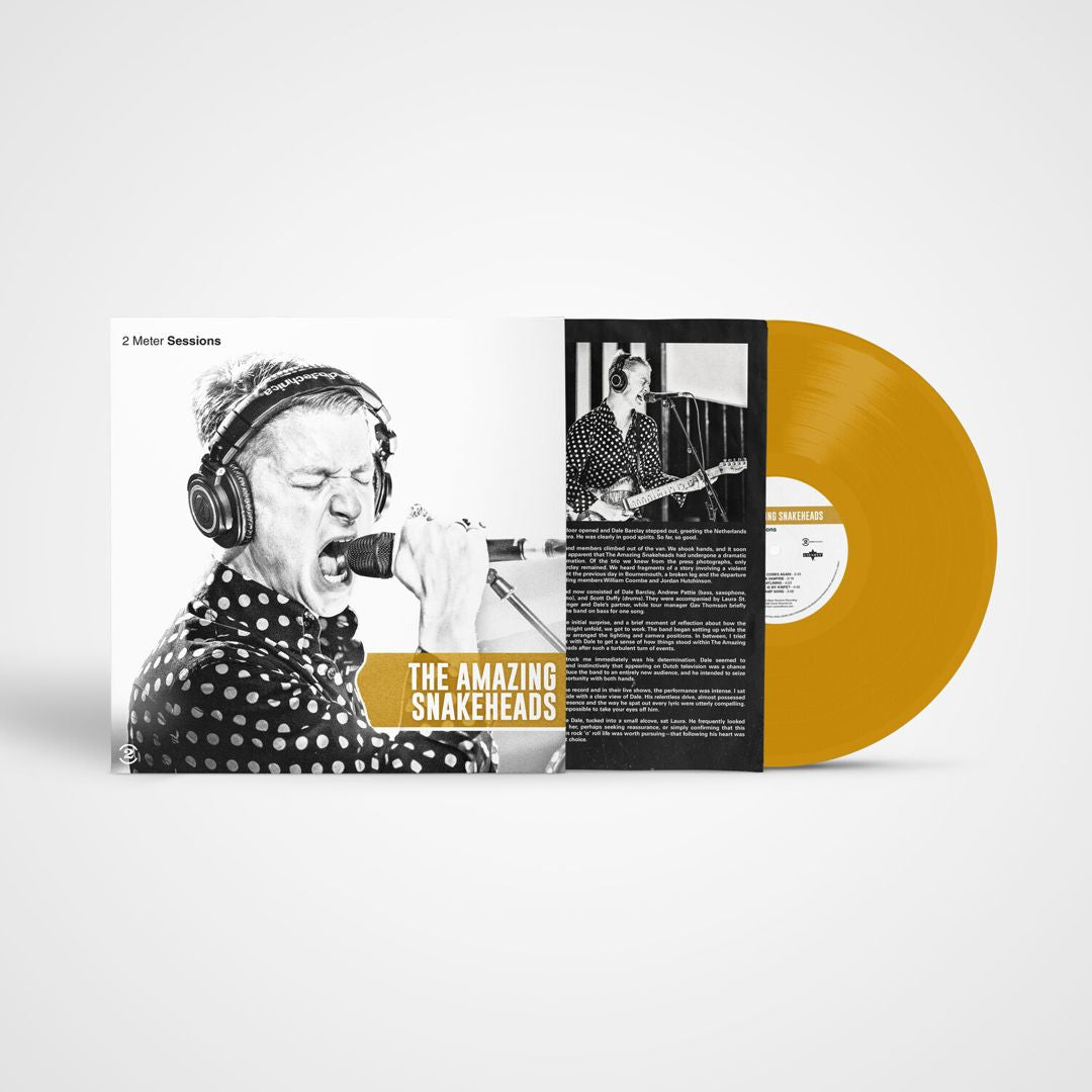 2 Meter Sessions [Gold] cover art