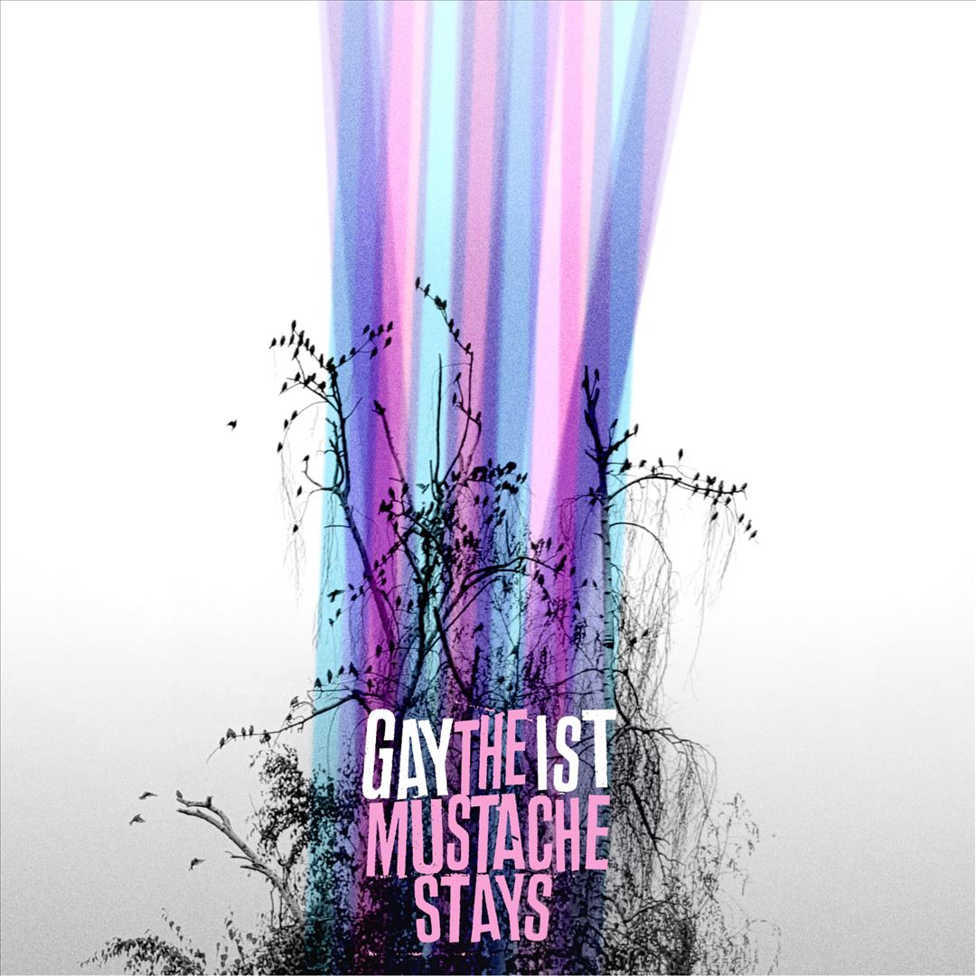 Mustache Stays cover art