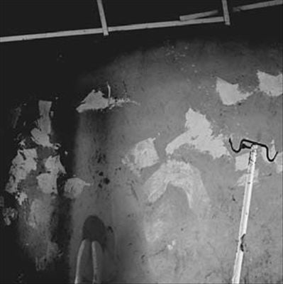 Willowbrook cover art