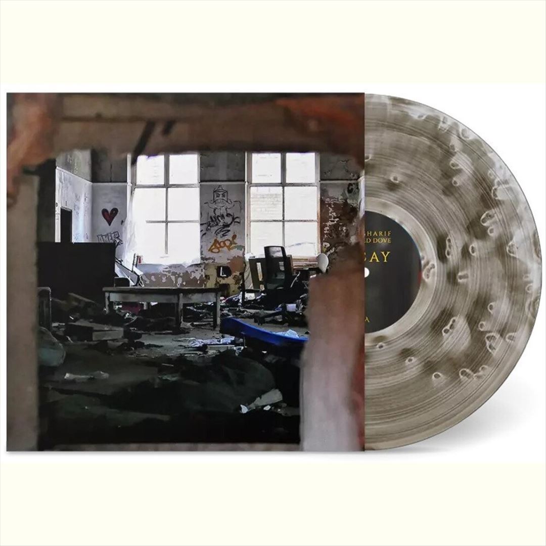 Decay cover art