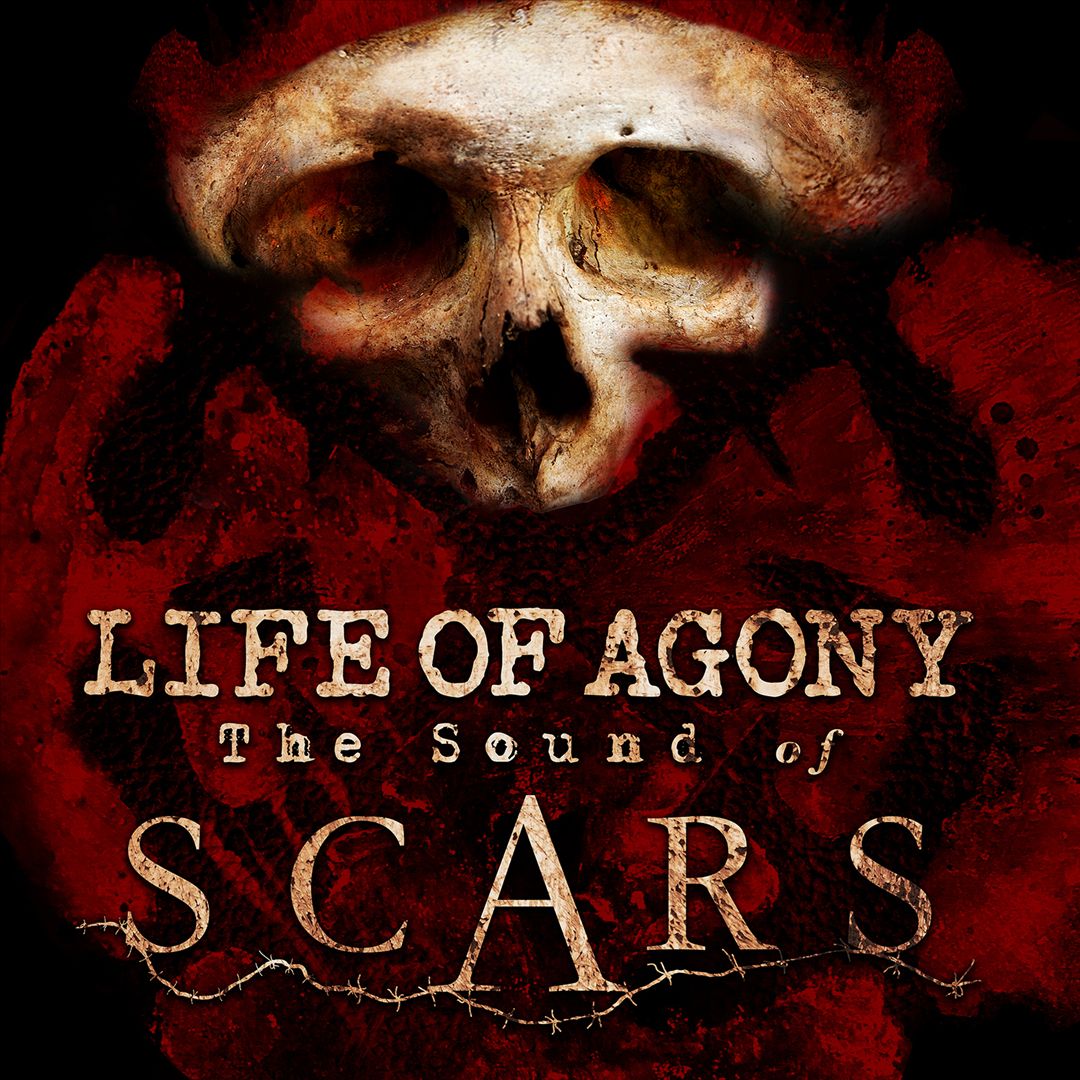 Sound of Scars cover art