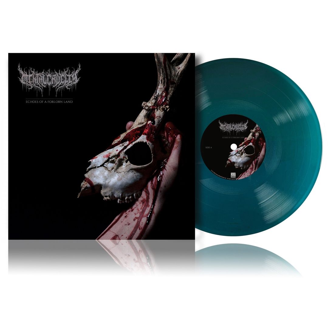 Echoes of a Forlorn Land cover art