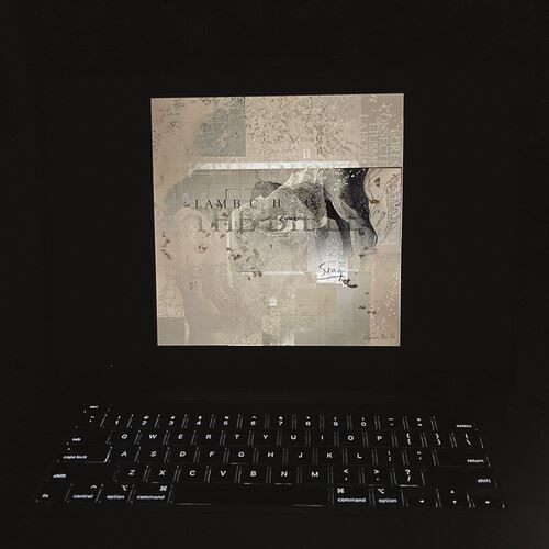 The Bible [Indie Exclusive Translucent "Galaxy-Colored" Vinyl] cover art