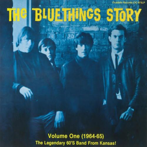 Blue Things Story, Vol. 1 (1964-1965) cover art