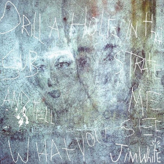 Drill a Hole in That Substrate and Tell Me What You See cover art