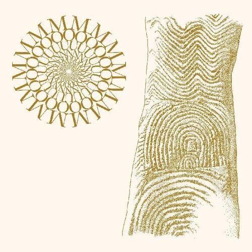 Flowers Rot, Bring Me Stones cover art