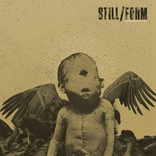From the Rot Is a Gift cover art