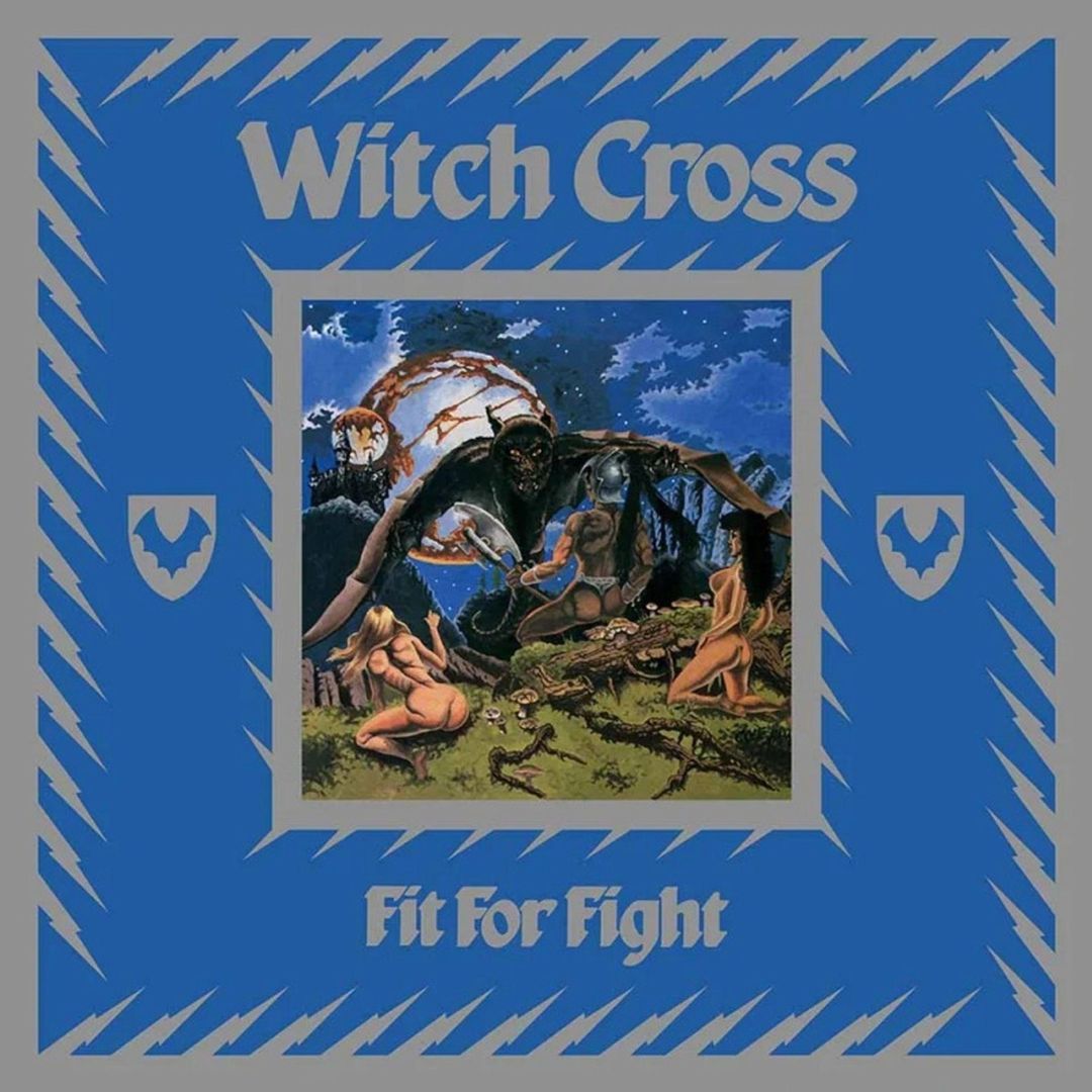 Fit for Fight cover art