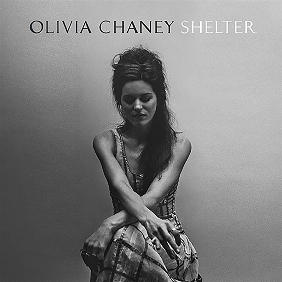 Shelter cover art