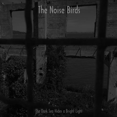 Dark Sea Hides a Bright Light cover art