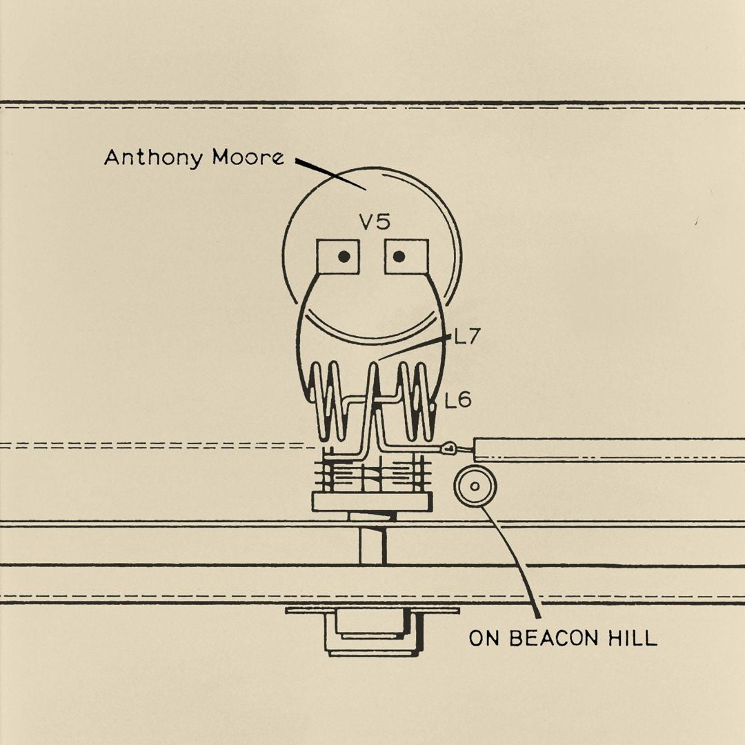 On Beacon Hill cover art