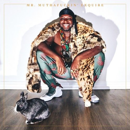 Mr. Muthafuckin' Exquire cover art