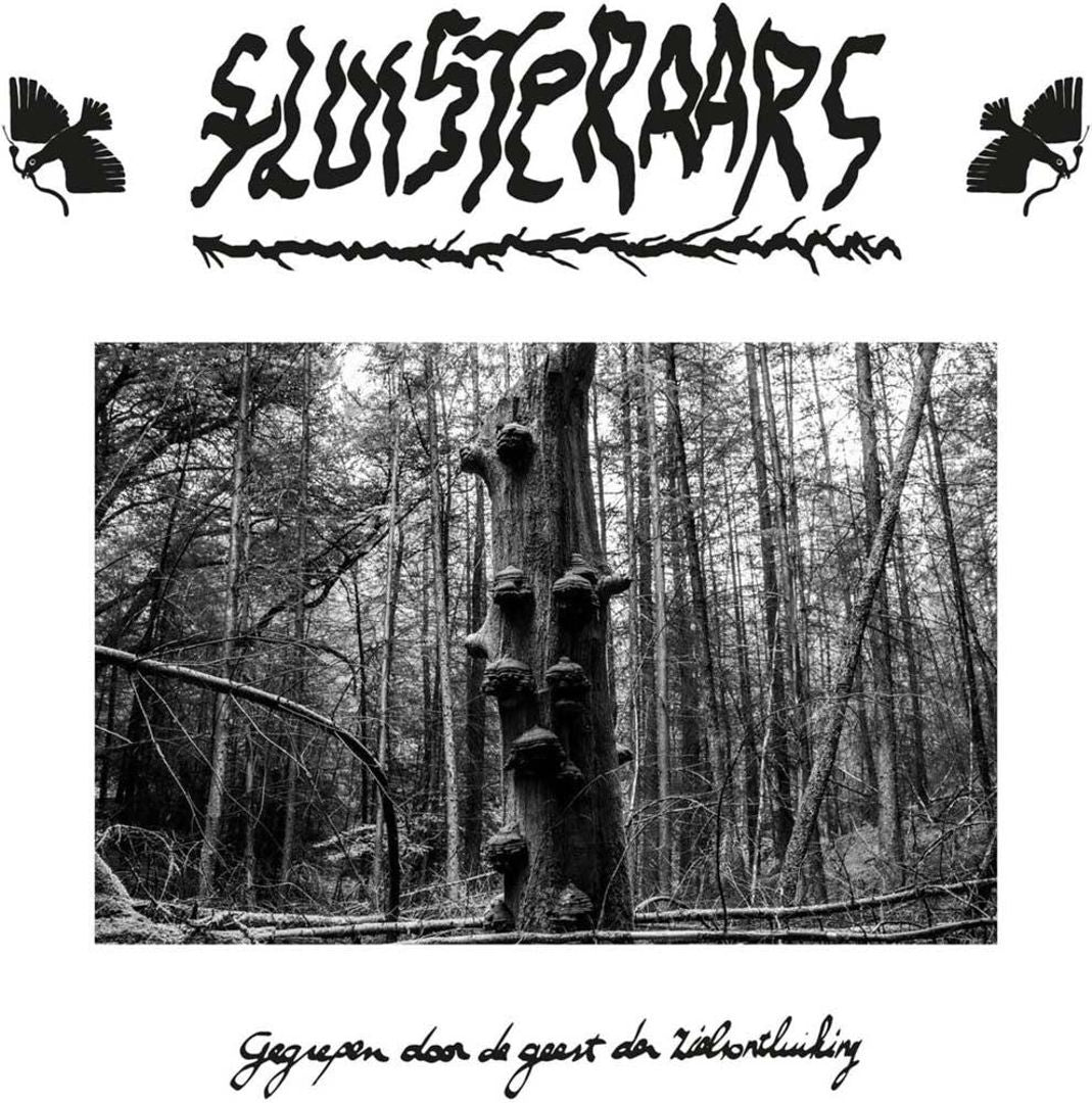 Gegrepen Door de Geest Der Zielsontluiking cover art