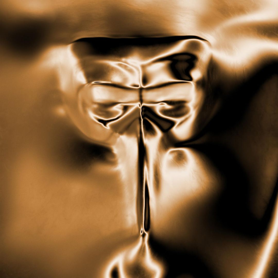 Wanderer [White & Gold Marble Vinyl] cover art