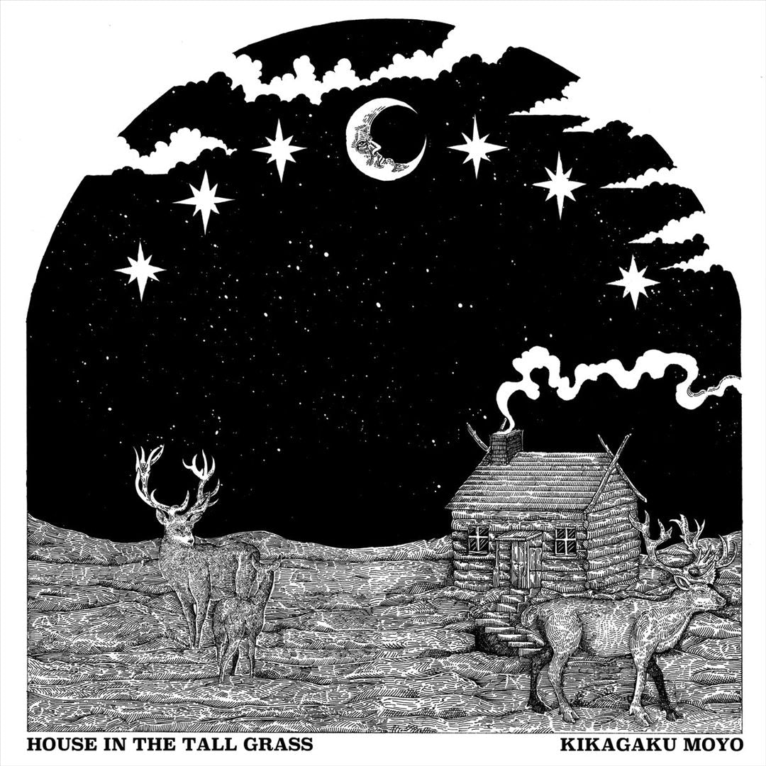House in the Tall Grass cover art