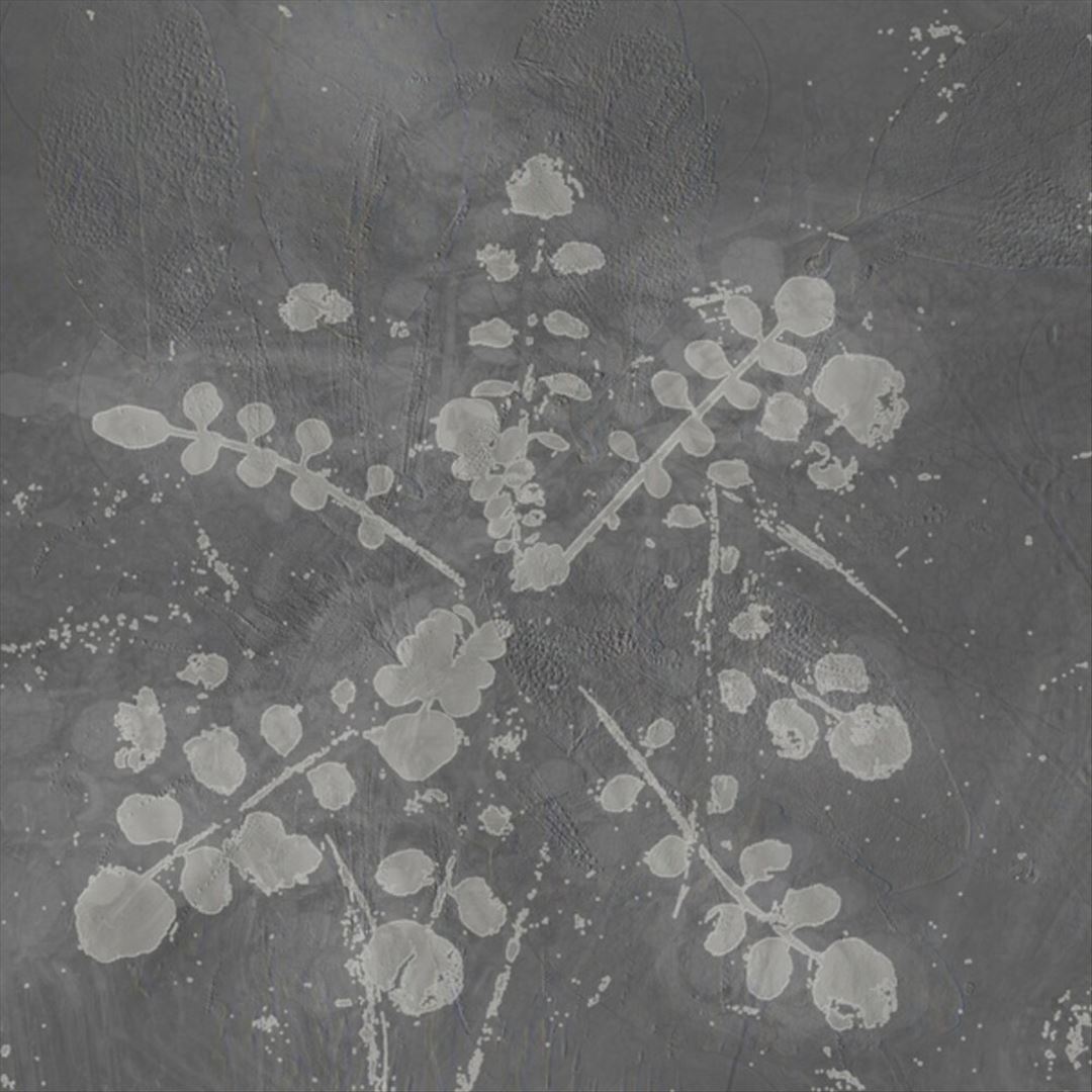 Music for Melted Floors cover art
