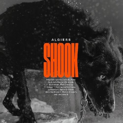 Shook cover art