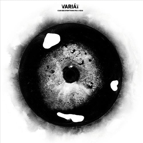 I Can See Everything From Here cover art