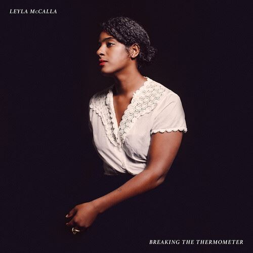 Breaking the Thermometer cover art