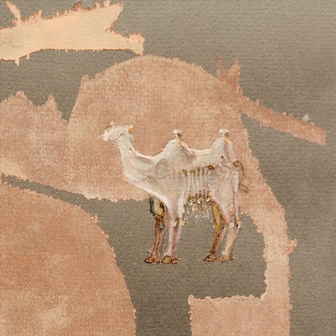 Corsano, Maranha, Youngs cover art