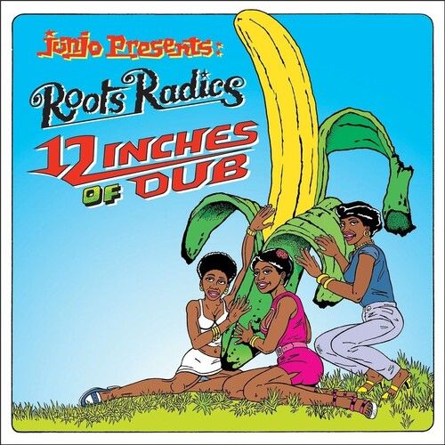 12 Inches of Dub/12" of Pleasure cover art