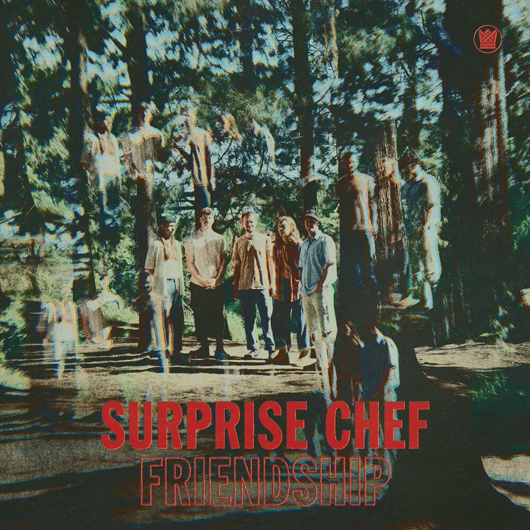 Friendship (Coloured Vinyl) cover art