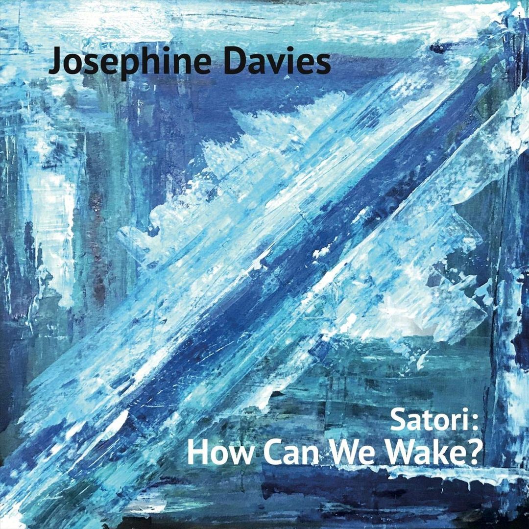 Satori: How Can We Wake? cover art
