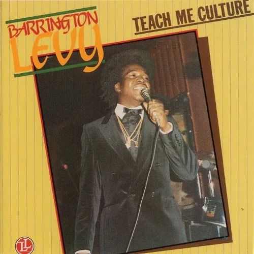 Teach Me Culture cover art