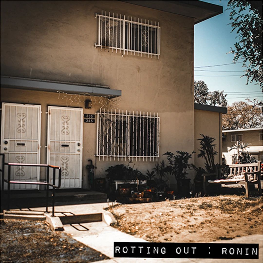 Ronin cover art